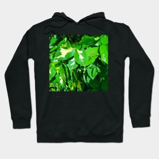 Green and yellow leaves Hoodie